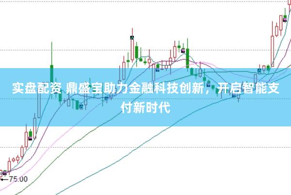 实盘配资 鼎盛宝助力金融科技创新，开启智能支付新时代
