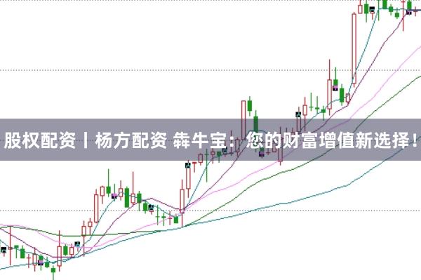 股权配资丨杨方配资 犇牛宝：您的财富增值新选择！