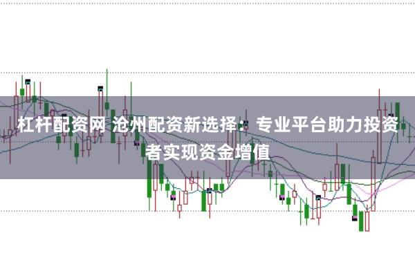 杠杆配资网 沧州配资新选择：专业平台助力投资者实现资金增值