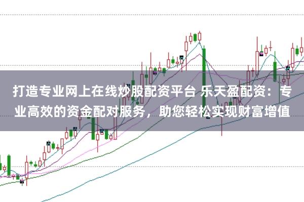 打造专业网上在线炒股配资平台 乐天盈配资：专业高效的资金配对服务，助您轻松实现财富增值