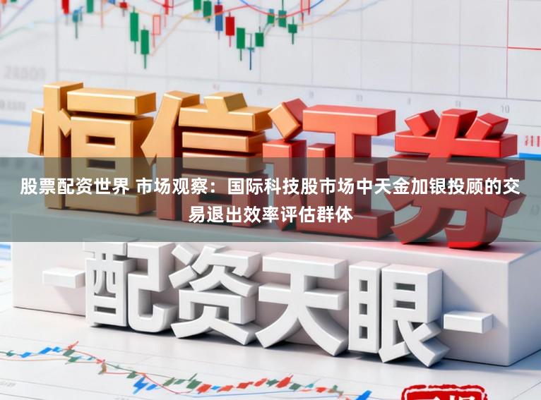 股票配资世界 市场观察：国际科技股市场中天金加银投顾的交易退出效率评估群体