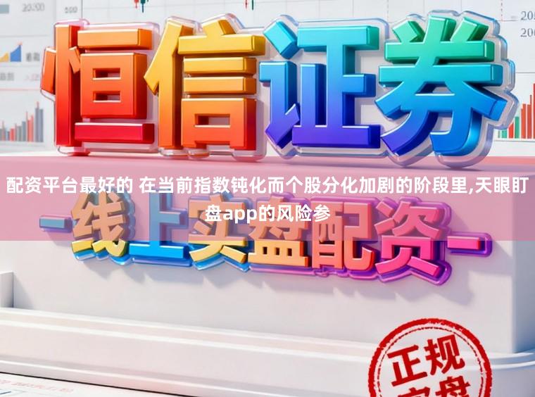 配资平台最好的 在当前指数钝化而个股分化加剧的阶段里,天眼盯盘app的风险参