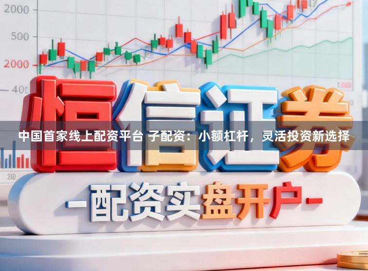中国首家线上配资平台 子配资：小额杠杆，灵活投资新选择