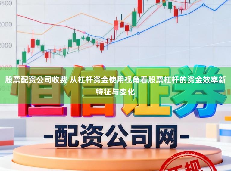 股票配资公司收费 从杠杆资金使用视角看股票杠杆的资金效率新特征与变化